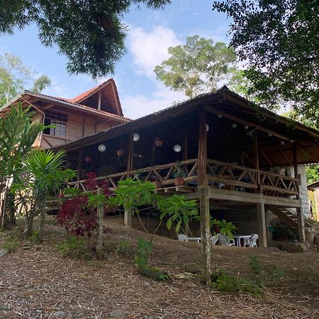 Puerto MisahuallíPlaya Tortugaアパートメント エクステリア 写真