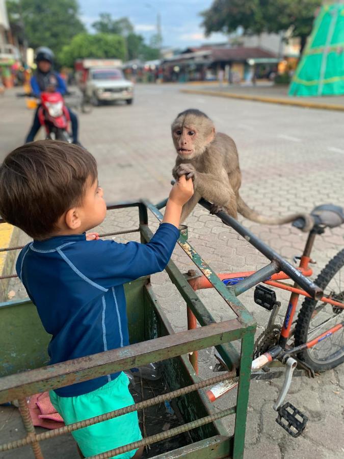 Puerto MisahuallíPlaya Tortugaアパートメント エクステリア 写真