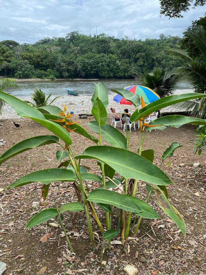 Puerto MisahuallíPlaya Tortugaアパートメント エクステリア 写真