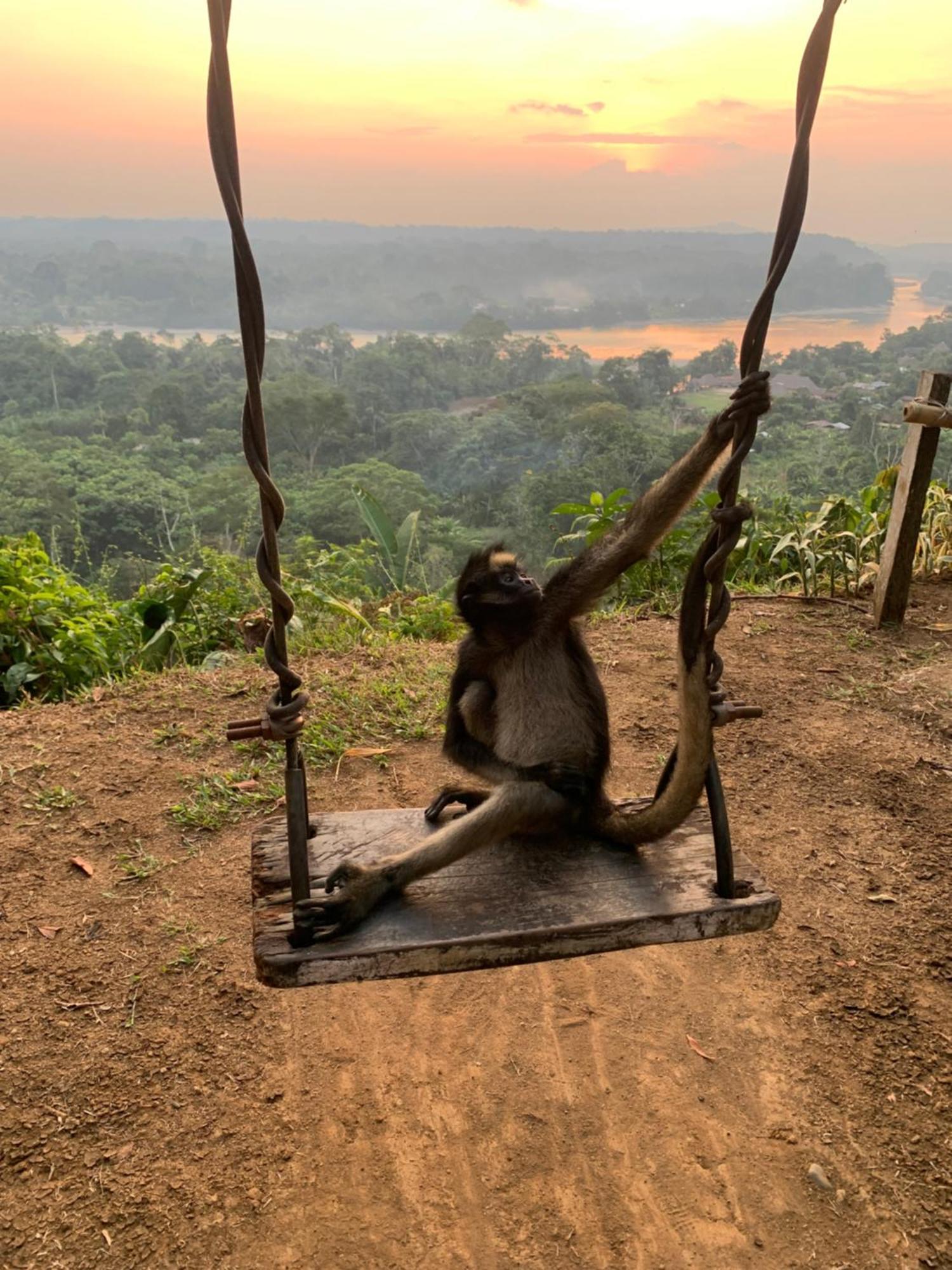 Puerto MisahuallíPlaya Tortugaアパートメント エクステリア 写真